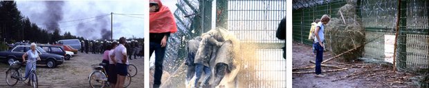 Trotz Reizgas nonstop: Der WAA-Zaun bekam Löcher - durch die sich niemand durchtraute.