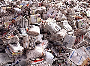 Was wie Vielfalt aussieht, ist in Wirklichkeit Einfalt. Foto: web