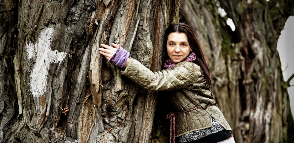 Wer zerstört die Natur?