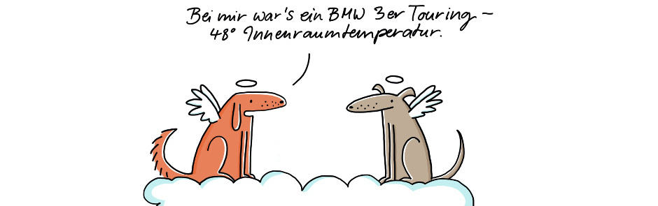 Zeichnen mit dem Meister