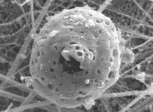 Feinstaub ohne Ende?