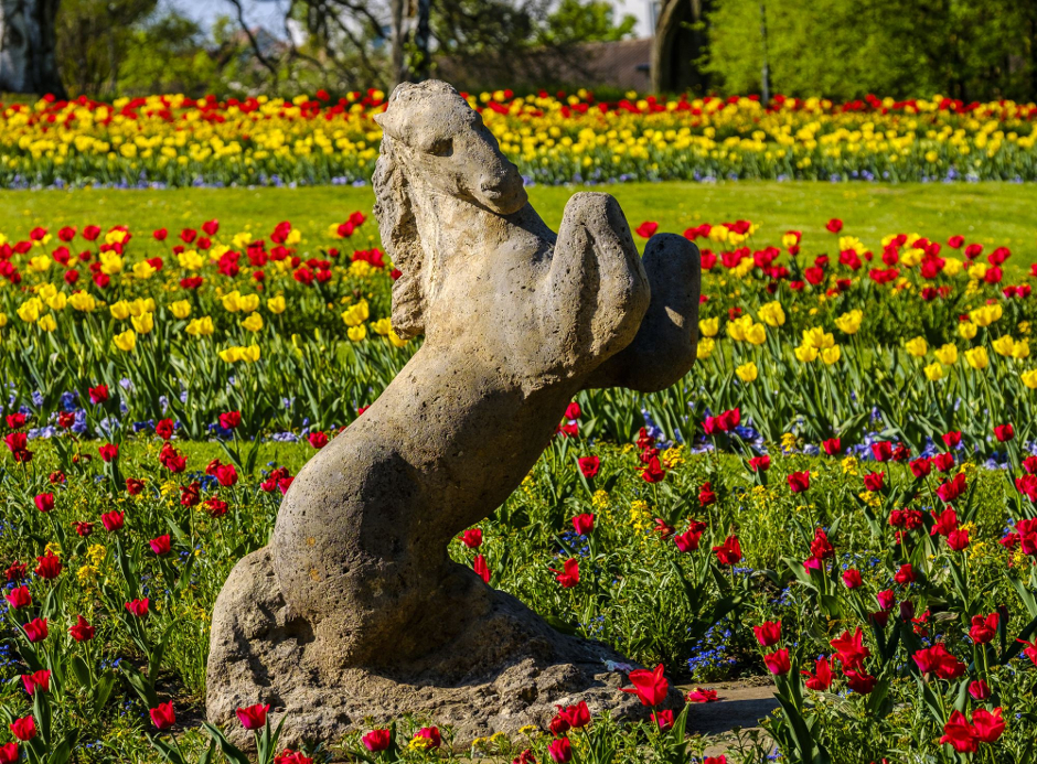 Das Stuttgarter Wahrzeichen im Blumenbeet. Beim Aufstöbern des Rössles im Tulpenbett und weiterer IGA-Überbleibsel ...