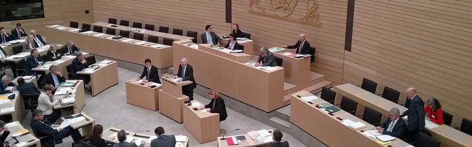 Demokratisches Vorhof-Flimmern