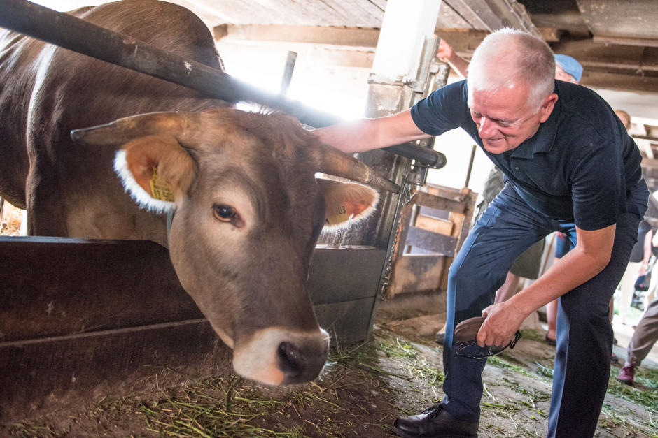Kuhn mit Kuh: Stuttgarts OB ist mit dem Rindvieh auf Tuchfühlung gegangen. Fotos: Jens Volle