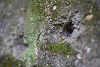 Spuren der Morde sind noch zu sehen. Foto: Uli Deck