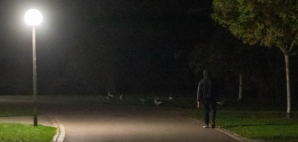 Ein Angstraum weniger: Die Dealersuche in düsteren Parks dürfte bald der Vergangenheit angehören. Foto: Jens Volle