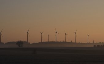 Kuhhandel auf schwäbisch