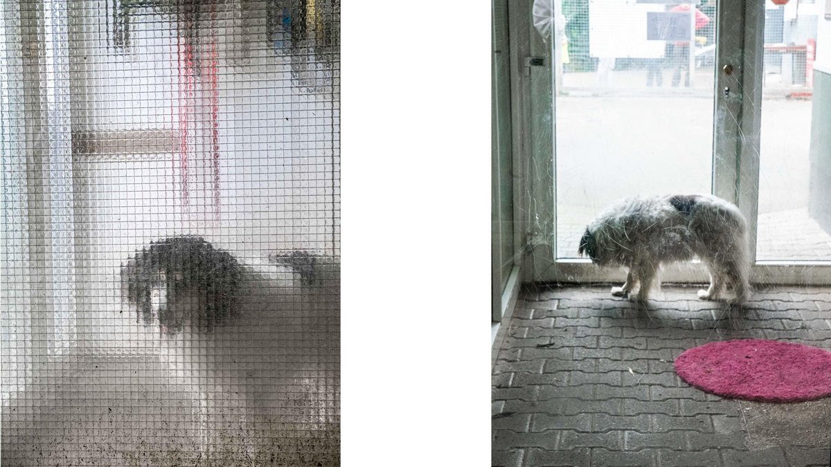 Ein Leben für Tiere