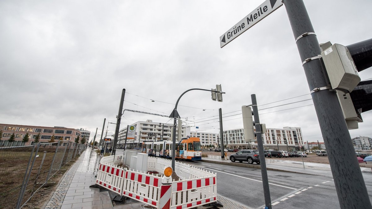 Das Grün der Zukunft.  Das Grün der Zukunft.