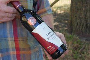 60 000 Flaschen Wein verkauft das Gut jedes Jahr. Foto: Steve Przybilla