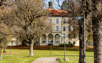 Vertrieben aus dem Paradies