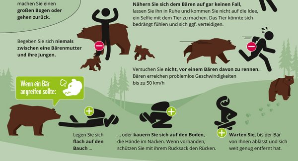 Für den Fall der Fälle: Verhaltenstipps. Grafik: WWF