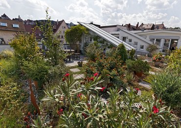 "Je stärker das leuchtet, desto mehr Grün ist vorhanden". Hier leuchten die Infrarotaufnahmen bestimmt.