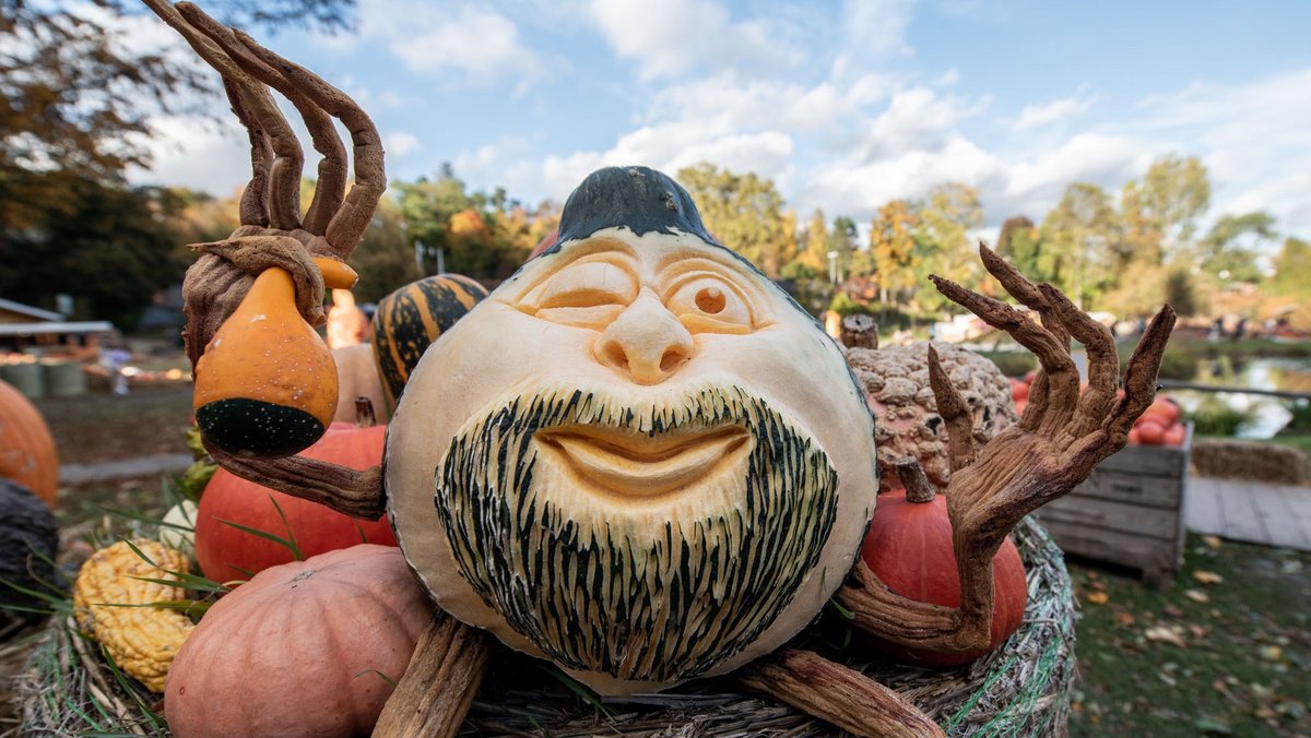 Er fühlt sich hier pudelwohl. Er fühlt sich hier pudelwohl.