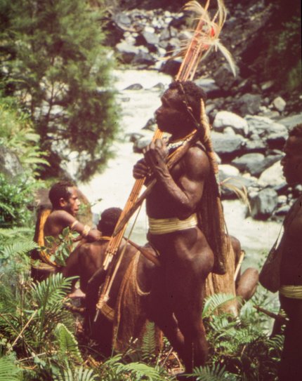 12.000 Dias hat Michel aus Neuguinea mitgebracht.