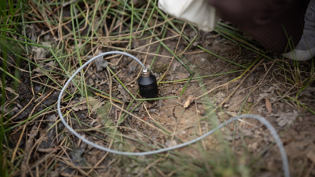 Ein Sensor im Boden fördert die Töne zutage.