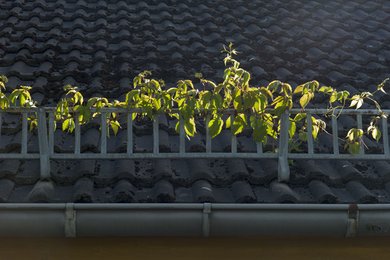 Weinbau mal ganz anders.