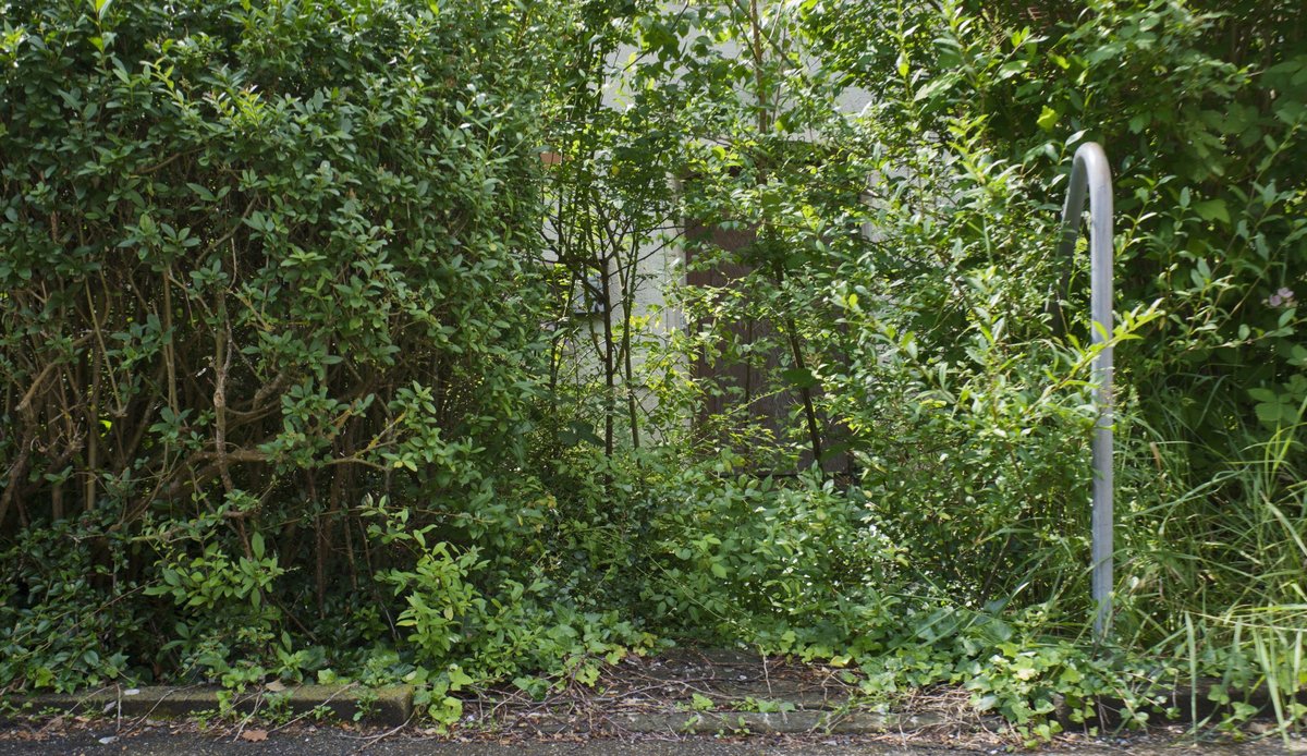 Einladende Eingangssituation: Hier gehts rein ... Einladende Eingangssituation: Hier gehts rein ...