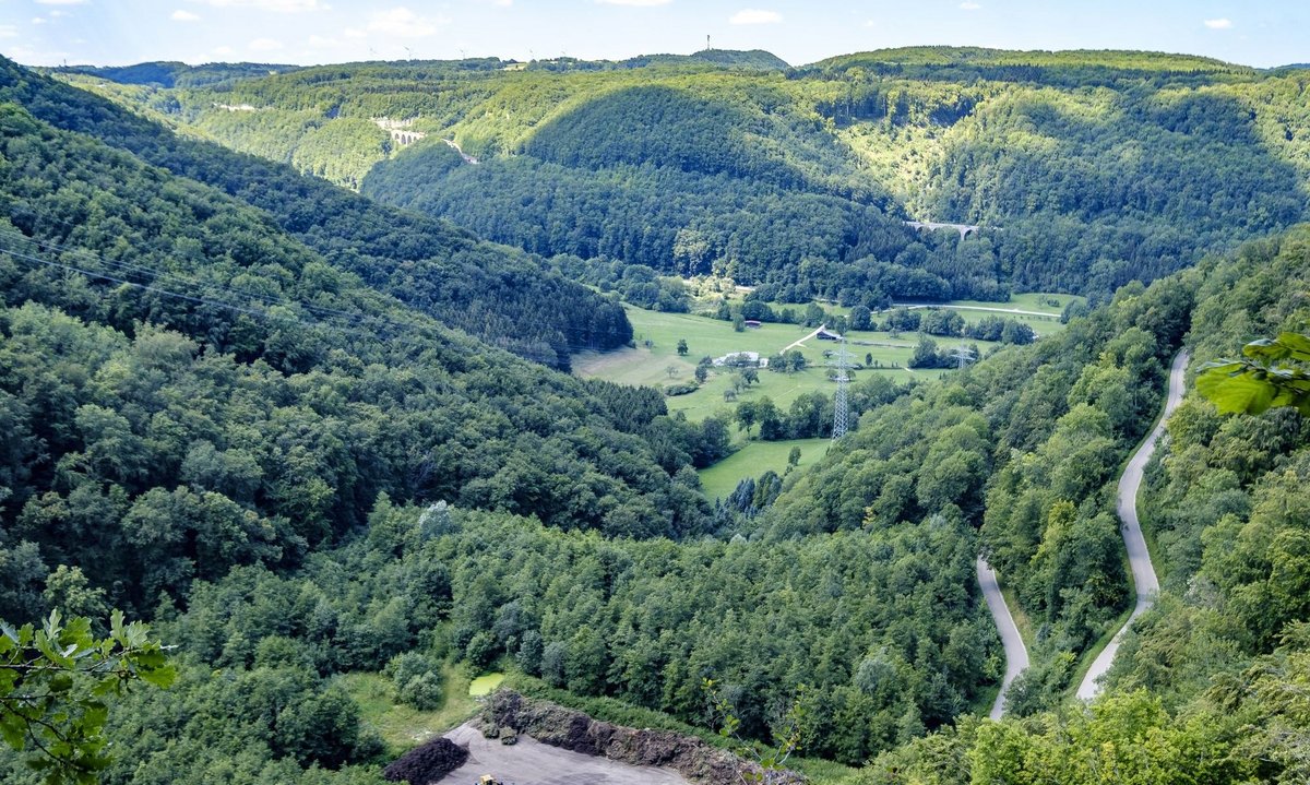 So grün? Wir wünschen uns mehr Schutz für Wald, Landschaft, Umwelt.