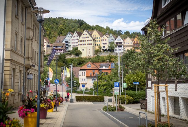 Blumen schmücken die Neckarbrücke auf dem Weg vom Bahnhof in die Stadt.