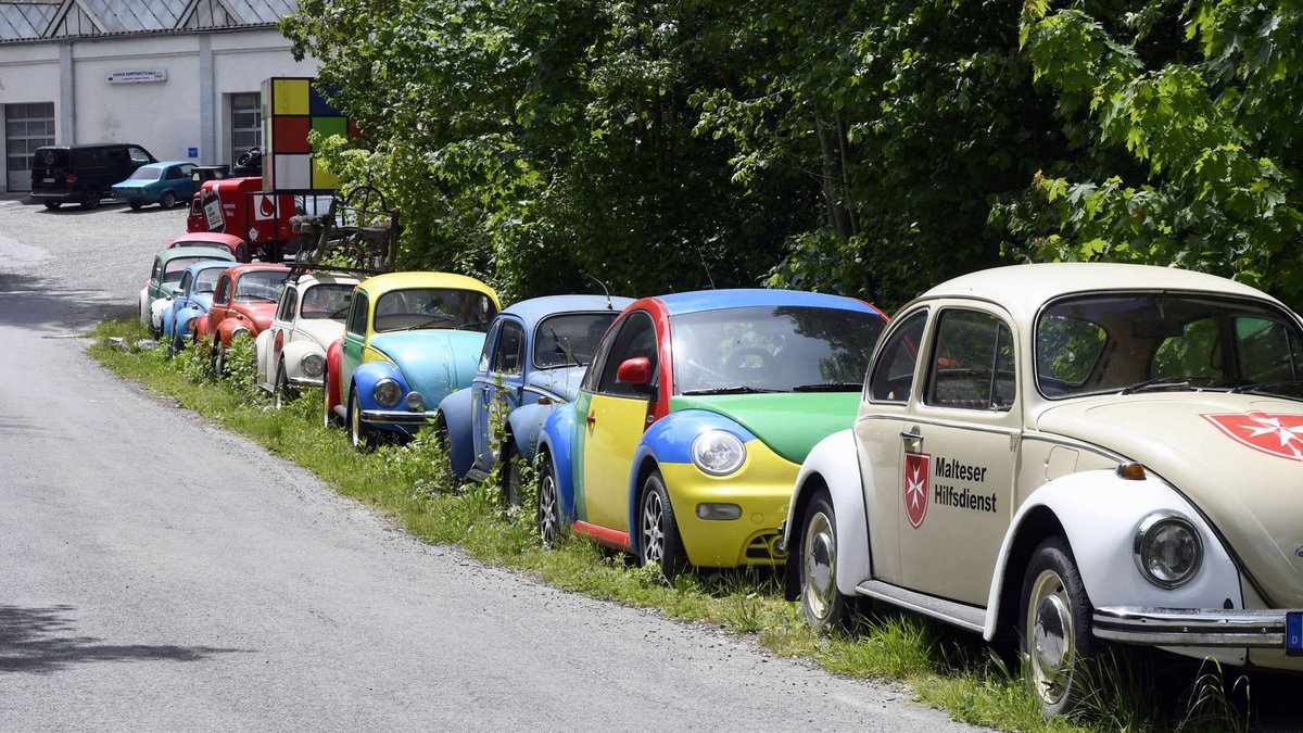 Ahmet Yardimcis Käfersammlung säumt den Weg zu seiner Autowerkstatt.