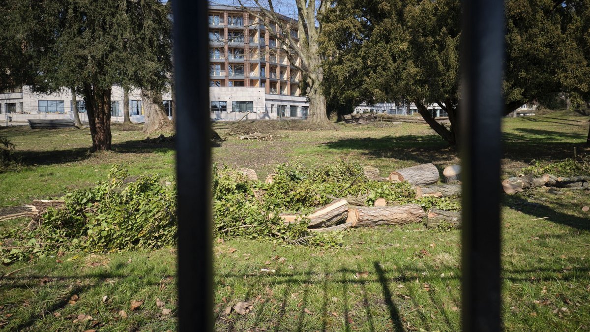 Gesundheitshotel Büdingen: Hier sollen sich demnächst Reiche komplett eingegittert erholen. Fotos: Joachim E. Röttgers