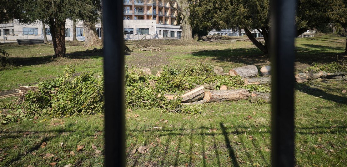 Konstanz und sein Luxusinvestor