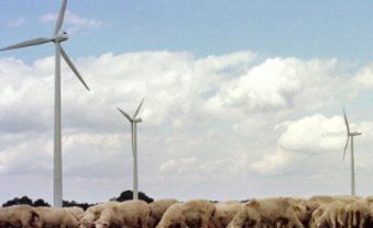 Frische Brise in Südwest