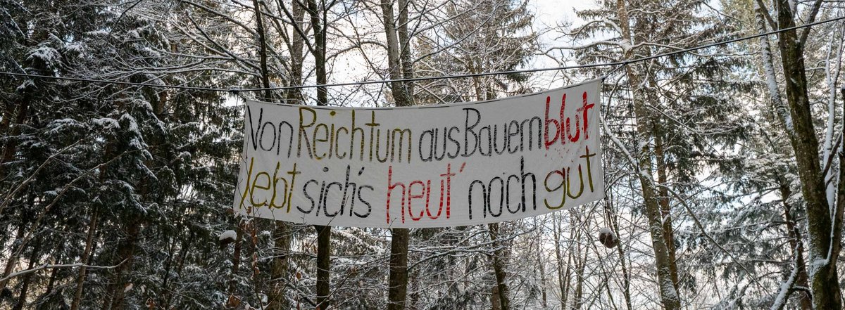 Protestbanner im Altdorfer Wald. Foto: Jens Volle