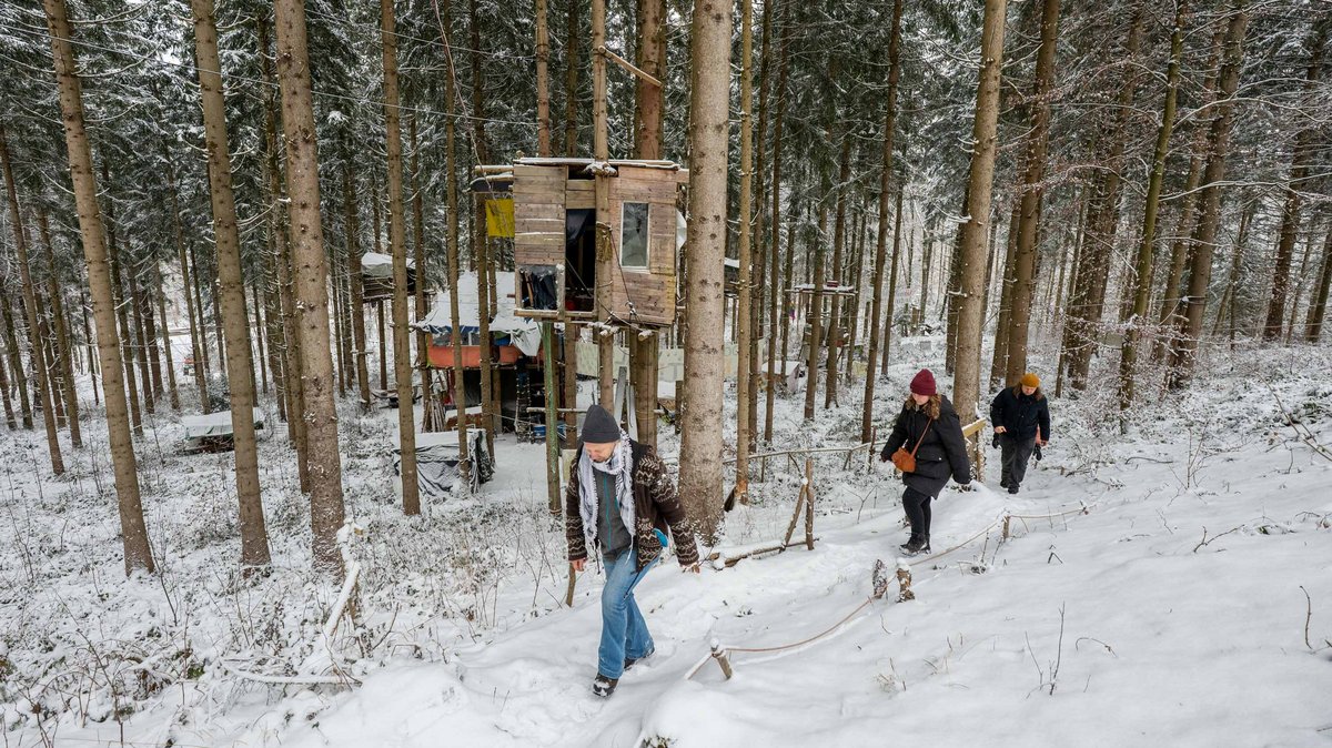 Sonntags kommt Besuch, denn die Aktivisti veranstalten jede Woche Waldspaziergänge und Besetzungsrundgänge.