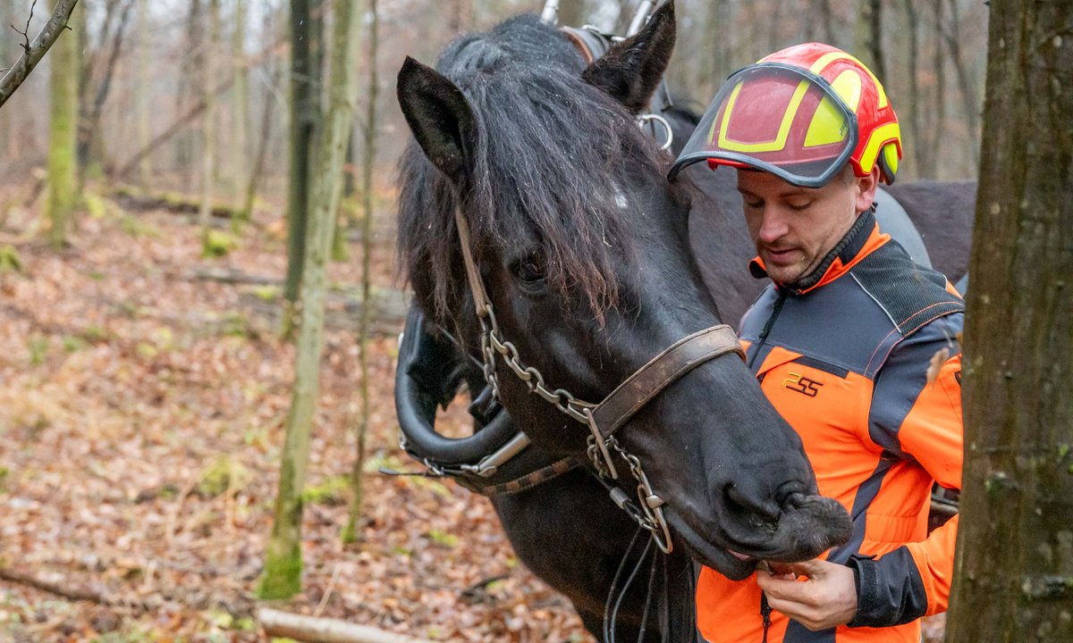 Kurze Pause mit Leckerli.