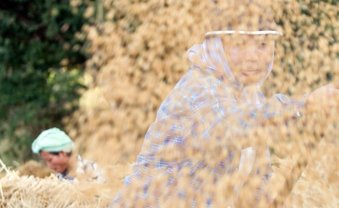 Krieg gegen die Bauern?