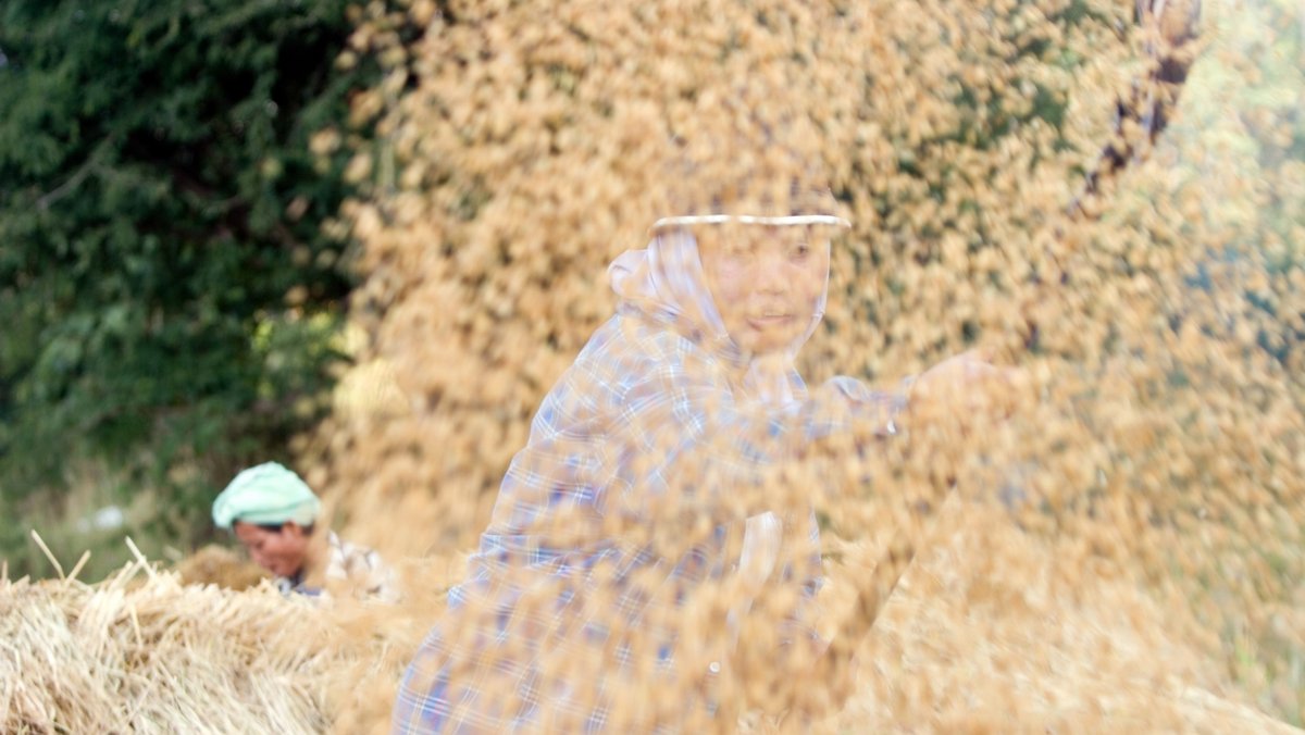 500 Jahre nach dem deutschen Bauernaufstand beuten reiche Länder Landwirt:innen im Globalen Süden aus. Foto: Joachim E. Röttgers 500 Jahre nach dem deutschen Bauernaufstand beuten reiche Länder Landwirt:innen im Globalen Süden aus. Foto: Joachim E. Röttgers