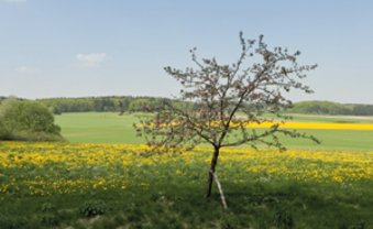 Verlorene Heimat Oberschwaben