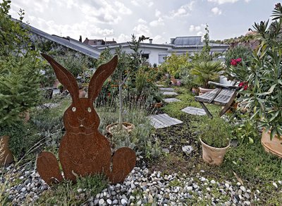 Glücklicher Hase in blühender Landschaft. 