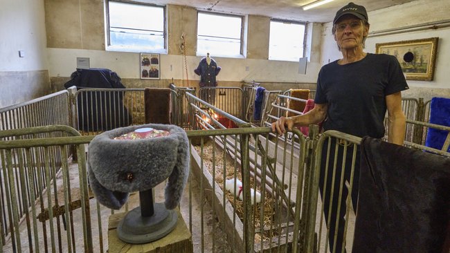 Kurator Werner Lorke neben seinem eigenen Werk "Alrosa" (links vorne). Kurator Werner Lorke neben seinem eigenen Werk "Alrosa" (links vorne).