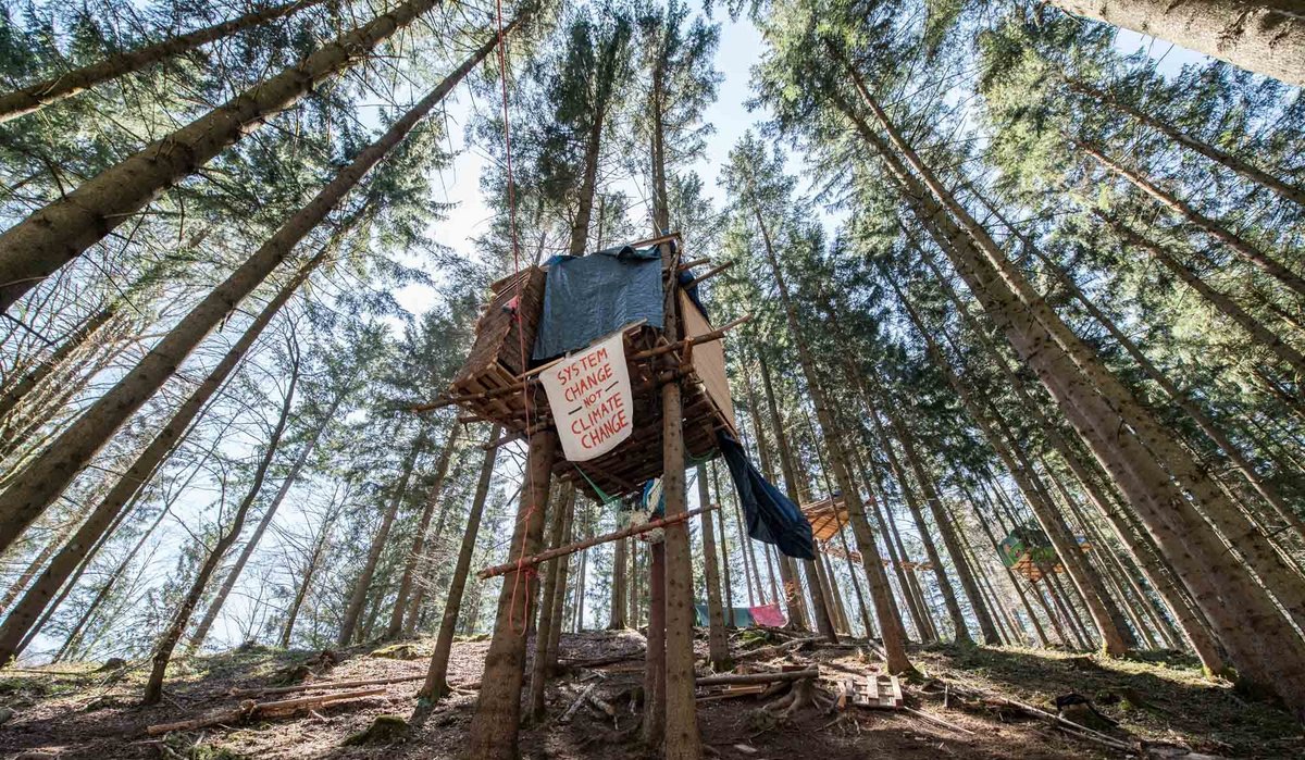 Baumbesetzung im Altdorfer Wald gegen Kiesabbau. Wenn Windräder kommen, wäre das in Ordnung für die Aktivis. Foto: Jens Volle Baumbesetzung im Altdorfer Wald gegen Kiesabbau. Wenn Windräder kommen, wäre das in Ordnung für die Aktivis. Foto: Jens Volle