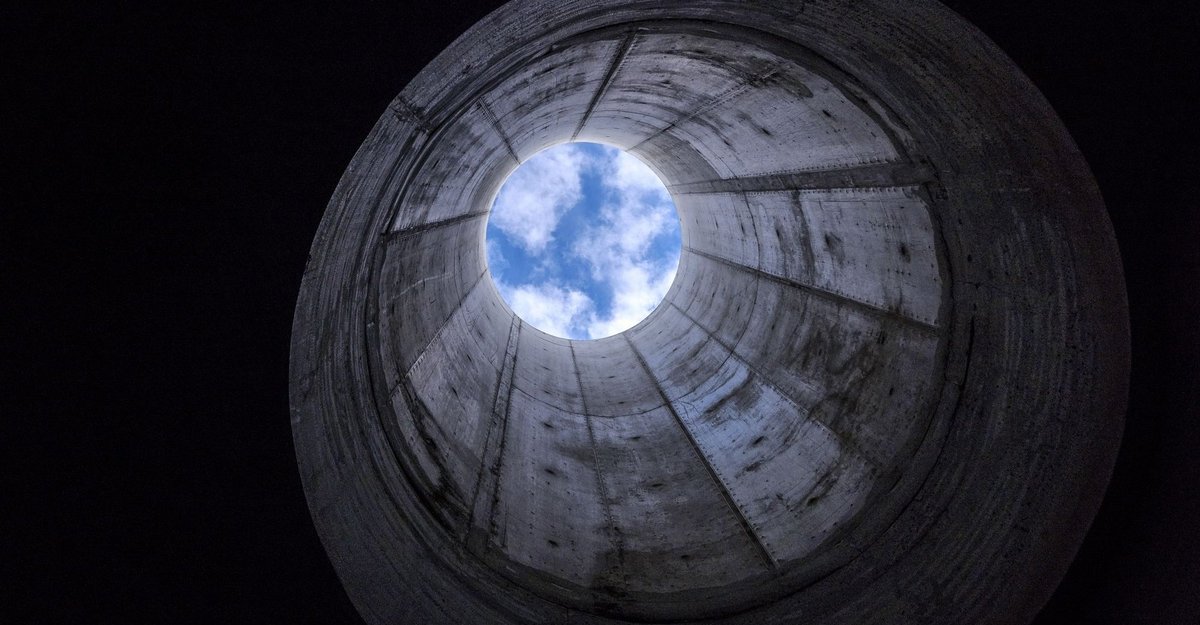 Wie kommt die Spezies raus aus der Klemme? Gar nicht so einfach, die Angelegenheit. Foto: Joachim E. Röttgers