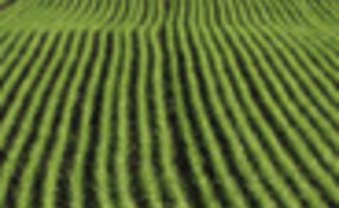 Im Dunstkreis der Industrie