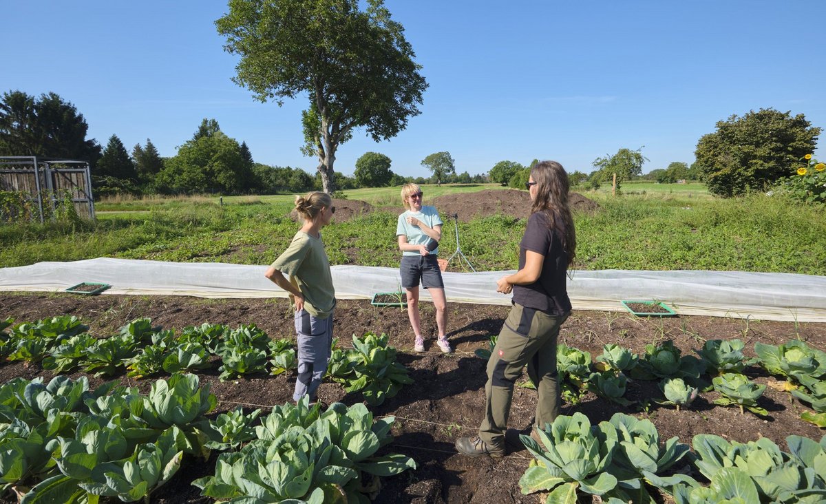 Kontext-Autorin Fides Schopp (Mitte) auf dem Wildraum-Acker.