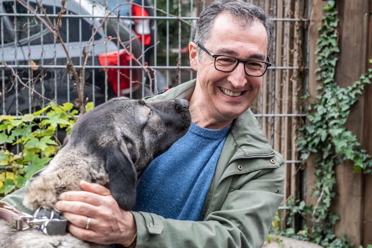 Erst sieben Monate alt und schon riesig: Fundhündin Jolandi auf Tuchfühlung. Zur Fotostrecke geht's mit Klick auf den Pfeil.  Erst sieben Monate alt und schon riesig: Fundhündin Jolandi auf Tuchfühlung. Zur Fotostrecke geht's mit Klick auf den Pfeil.