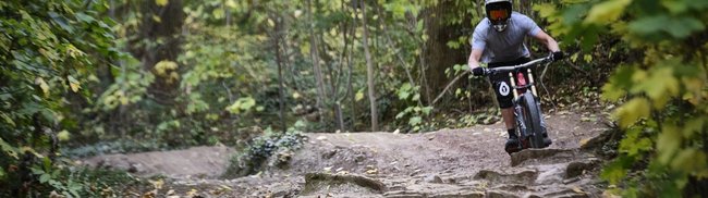 Tatort zwischen Bäumen