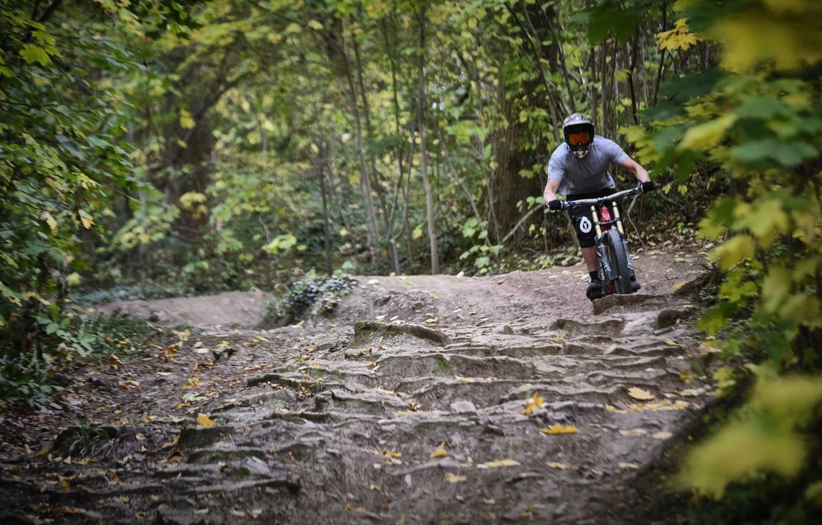 Über Stock und Stein: Auf dem Woodpecker-Trail kann es auch mal holprig werden. Mehr Fotos mit Klick auf den Pfeil.