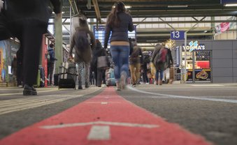 Bebauen einstweilen verboten