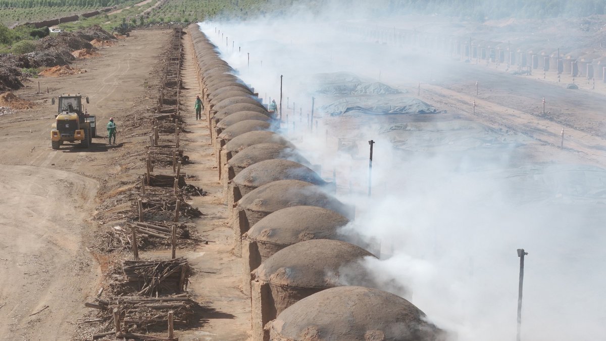 Klimawälder in Brasilien werden zu "grüner Holzkohle" verbrannt. Foto: SWR/Diwafilm
