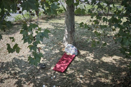 Keine Dauerlösung: Schlafen unterm Baum. Foto: Joachim E. Röttgers Keine Dauerlösung: Schlafen unterm Baum. Foto: Joachim E. Röttgers
