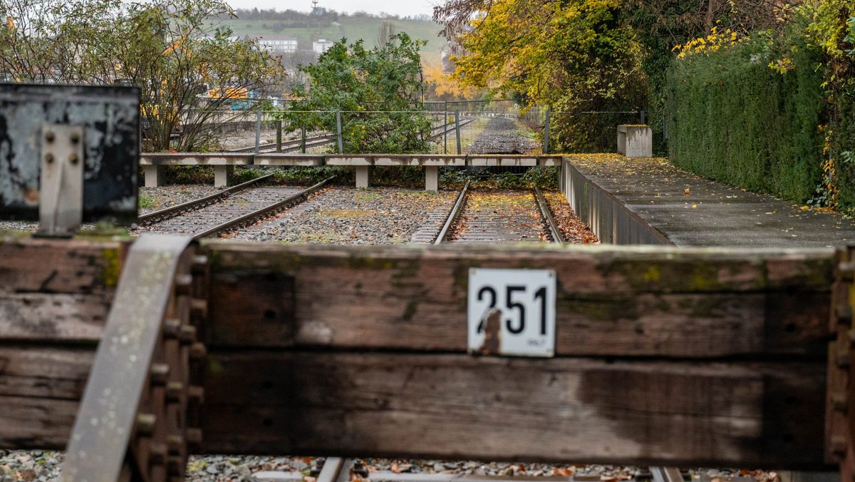 Grundgedanke des Gedenkorts "Zeichen der Erinnerung": Die Schienen führen in die Ferne, bis sie aus dem Blickfeld verschwinden. Fotos: Jens Volle