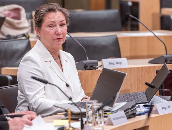 FDP-Obfrau Julia Goll sieht weiteren Aufklärungsbedarf. Foto: Jens Volle FDP-Obfrau Julia Goll sieht weiteren Aufklärungsbedarf. Foto: Jens Volle