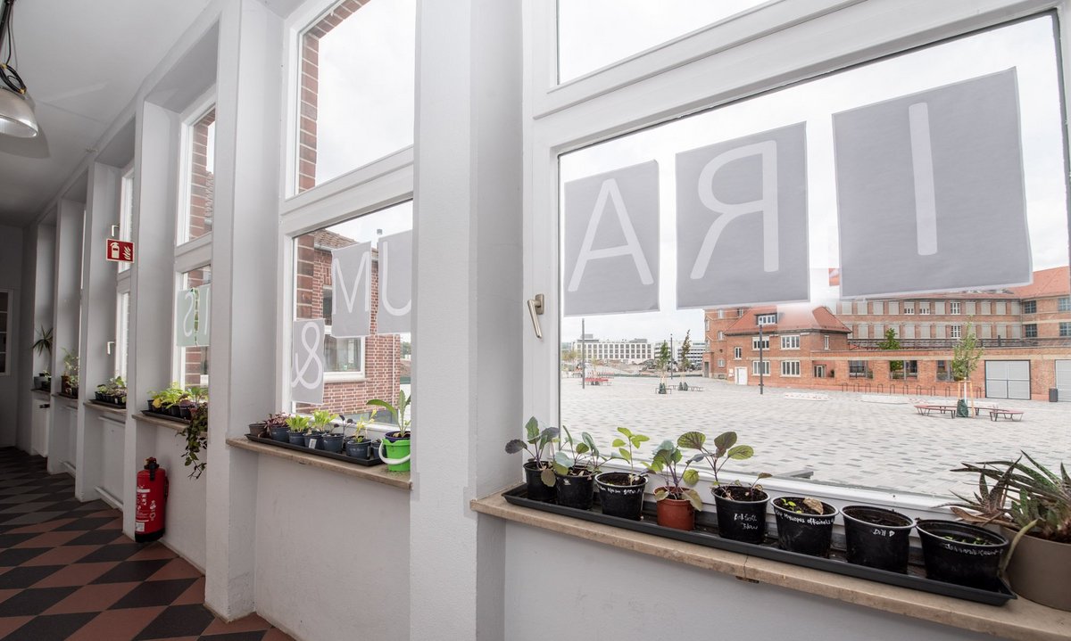 Drinnen reihen sich Rotkohl und Aloe Vera, Dill und Johanniskraut auf den Fensterbänken.