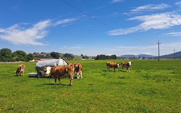 Der Himmel strahlt in bayerischen Farben – hilft aber auch nichts. 